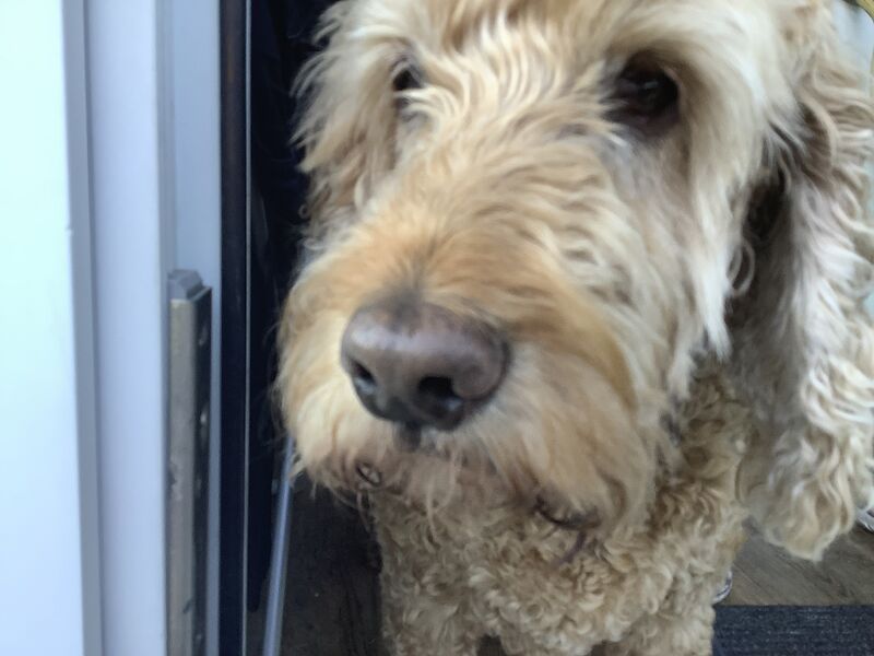 File:Monty.jpg